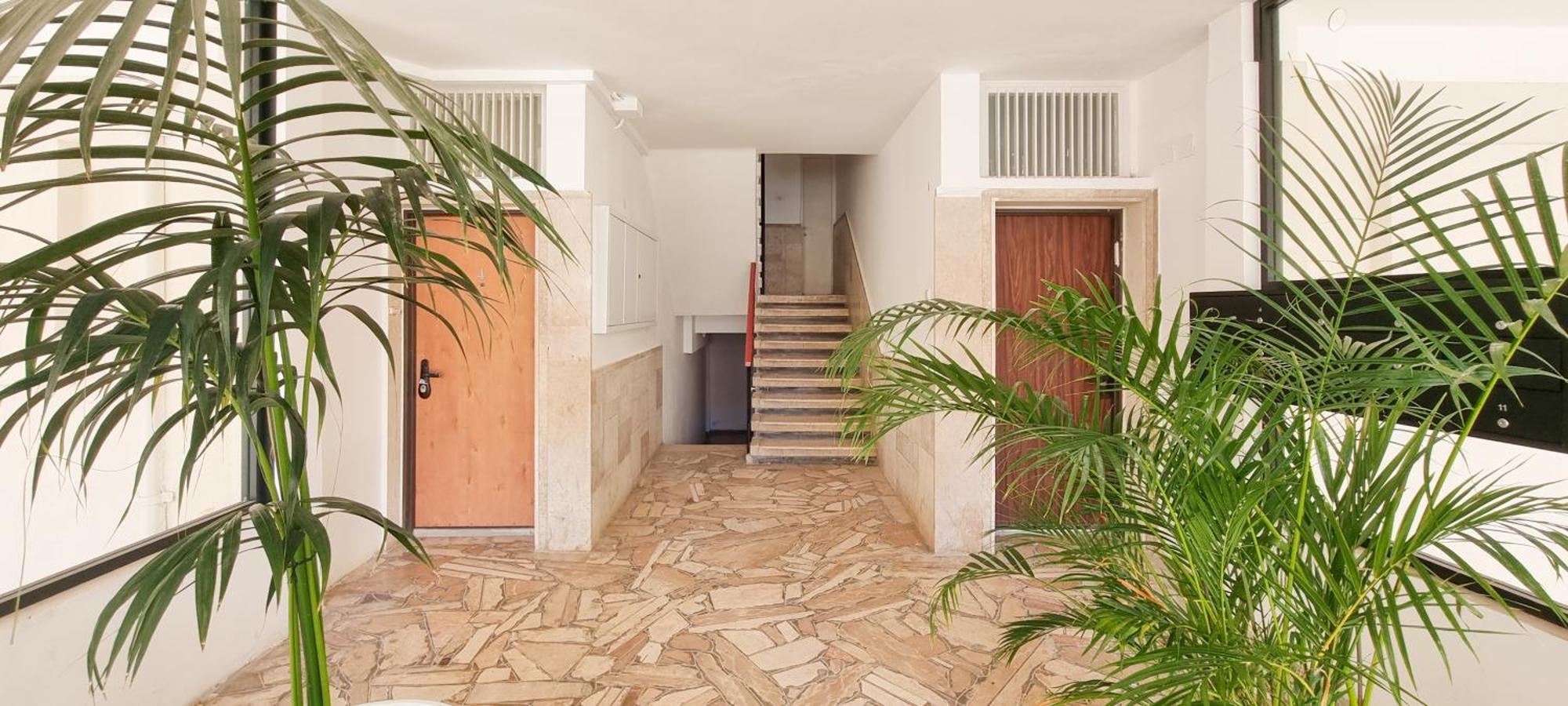 Bnb Israel Apartments - Harav Kook Lilas Тель-Авив Экстерьер фото